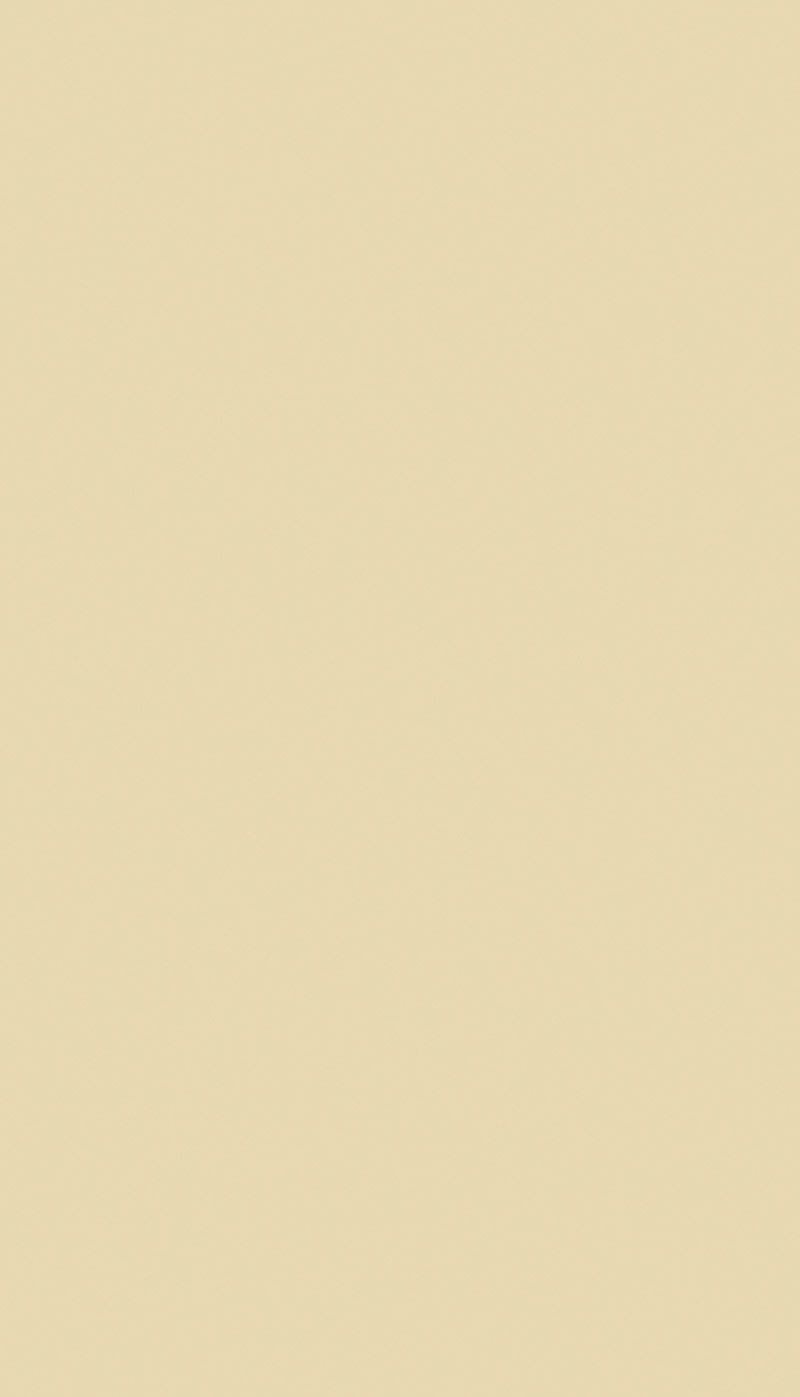 Nívó biztonsági ajtó Dekorit szín - Bézs